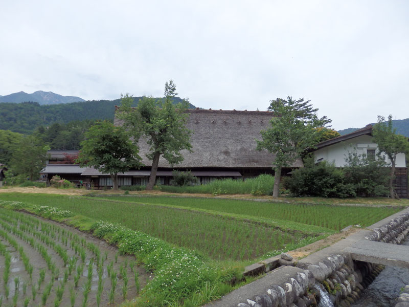 和田家