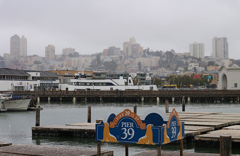 PIER39