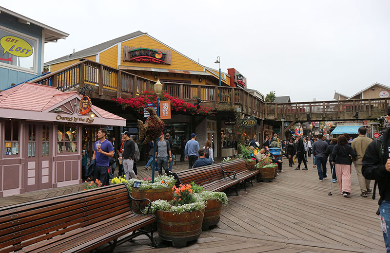 PIER39