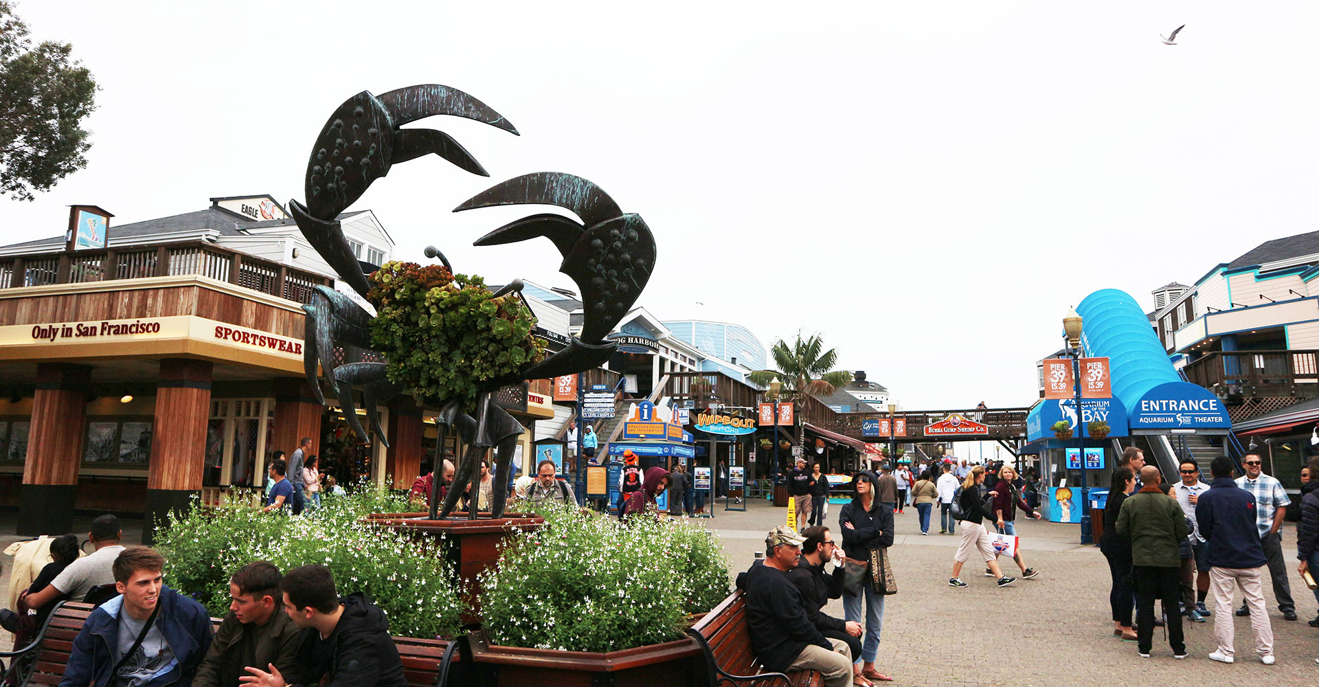 Pier39