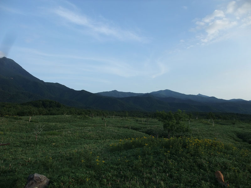 笹原