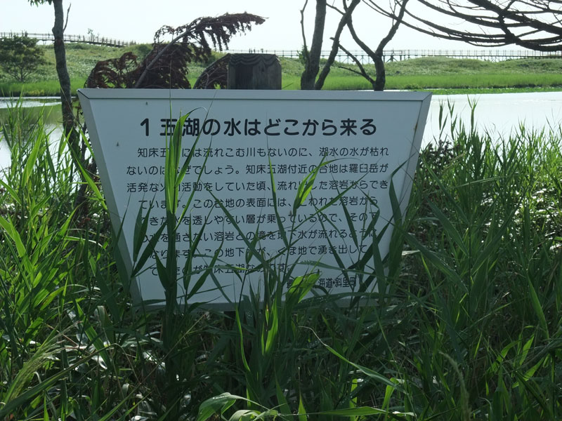 五湖の水はどこから来る？