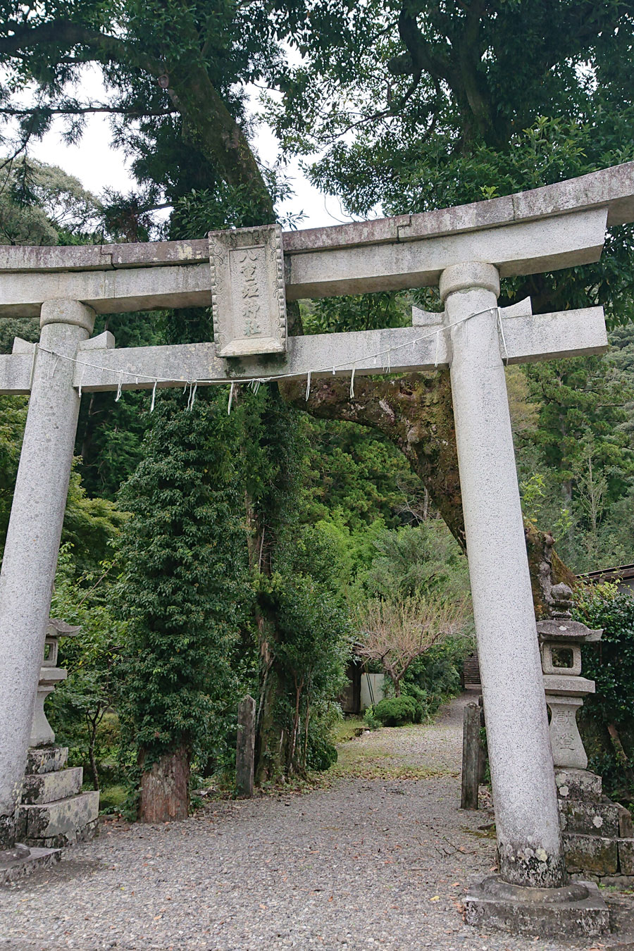 八重垣神社