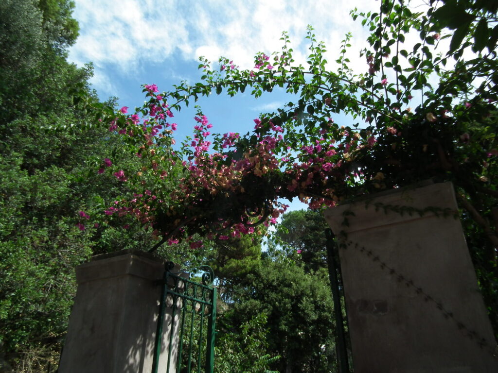 アウグスト庭園