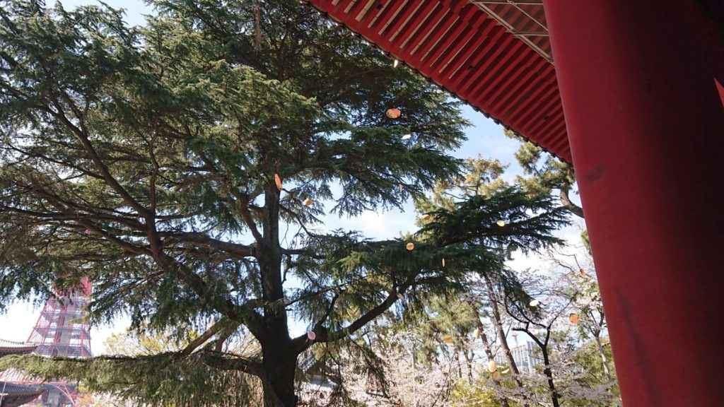 三門楼上から降る散華
