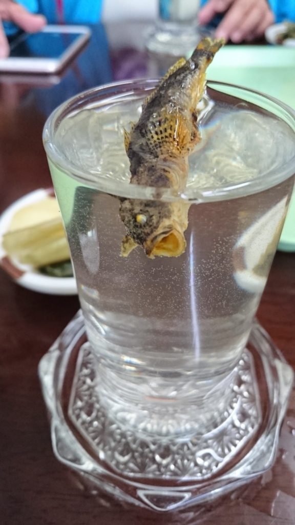 かじか酒