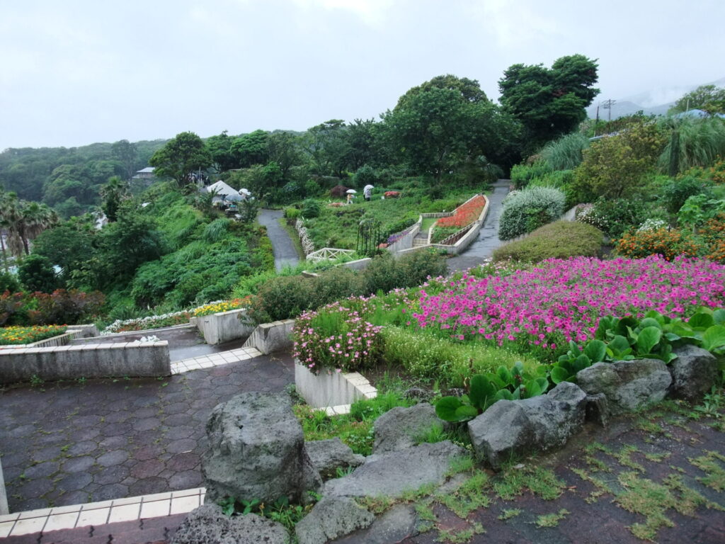 城ケ崎 あじさい苑の園内