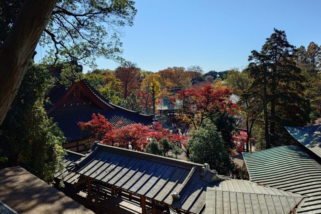 深大寺　開山堂からの景色