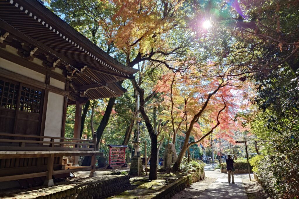紅葉の深大寺
