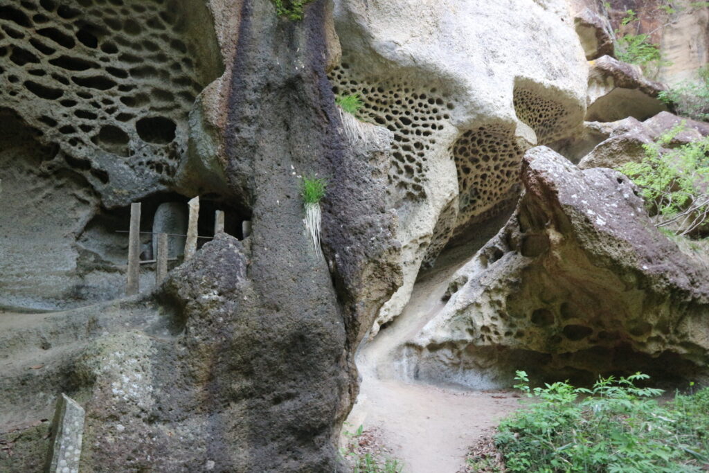 垂水遺跡　古峯神社