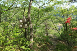 砦岩・冑岩