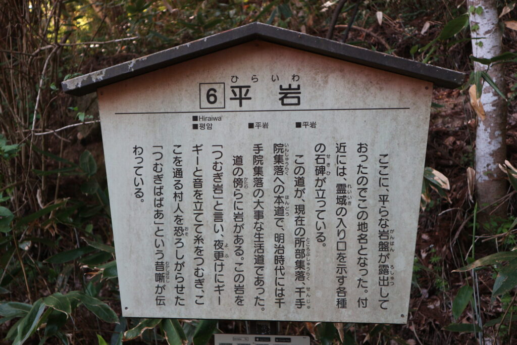 平岩の説明